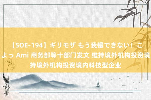 【SOE-194】ギリモザ もう我慢できない！ここでエッチしよっ Ami 商务部等十部门发文 维持境外机构投资境内科技型企业