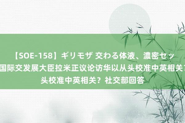 【SOE-158】ギリモザ 交わる体液、濃密セックス Ami 英国际交发展大臣拉米正议论访华以从头校准中英相关？社交部回答