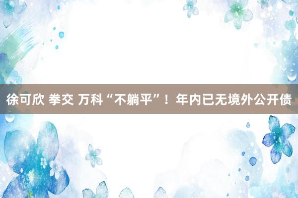 徐可欣 拳交 万科“不躺平”！年内已无境外公开债