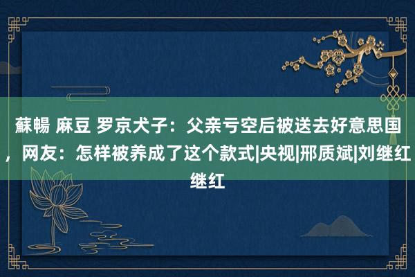 蘇暢 麻豆 罗京犬子：父亲亏空后被送去好意思国，网友：怎样被养成了这个款式|央视|邢质斌|刘继红