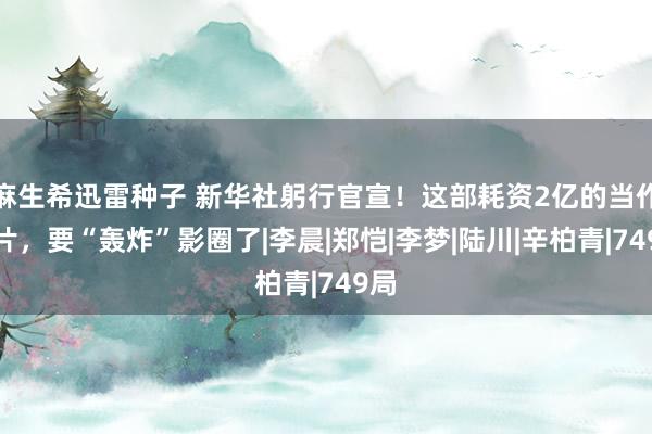 麻生希迅雷种子 新华社躬行官宣！这部耗资2亿的当作大片，要“轰炸”影圈了|李晨|郑恺|李梦|陆川|辛柏青|749局