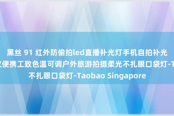 黑丝 91 红外防偷拍led直播补光灯手机自拍补光灯内置防偷窥检测仪便携工致色温可调户外旅游拍摄柔光不扎眼口袋灯-Taobao Singapore