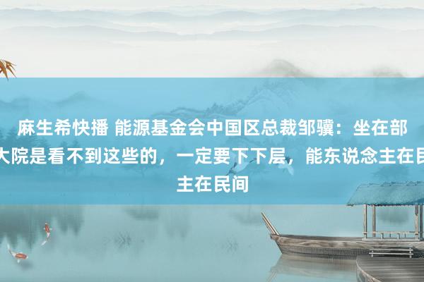 麻生希快播 能源基金会中国区总裁邹骥：坐在部委大院是看不到这些的，一定要下下层，能东说念主在民间